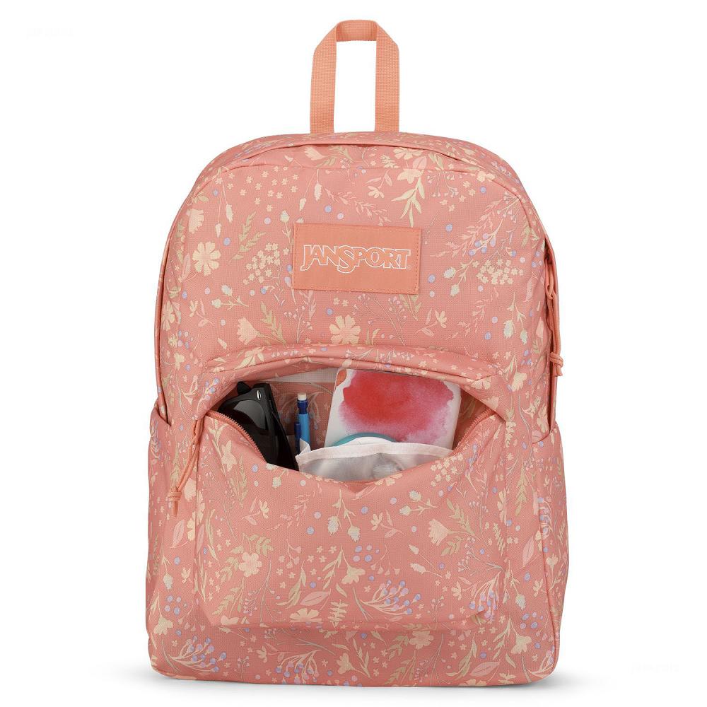 Sac à Dos Scolaire JanSport SuperBreak? Plus Rose | NCI-41621236